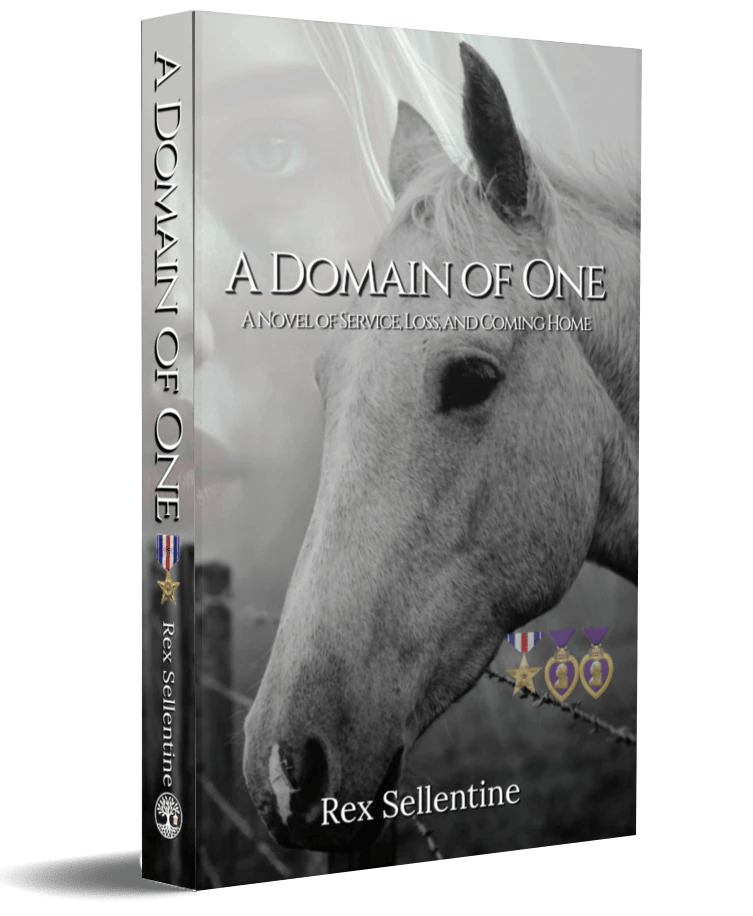 3D cover of A Domain of One by Rex Sellentine